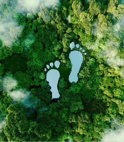 A lake in the shape of human footprints in the middle of a lush forest as a metaphor for the impact of human activity on the landscape and nature in general. 3d rendering.