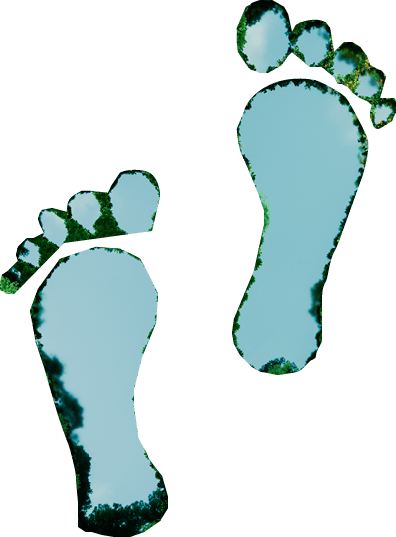 A lake in the shape of human footprints in the middle of a lush forest as a metaphor for the impact of human activity on the landscape and nature in general. 3d rendering.