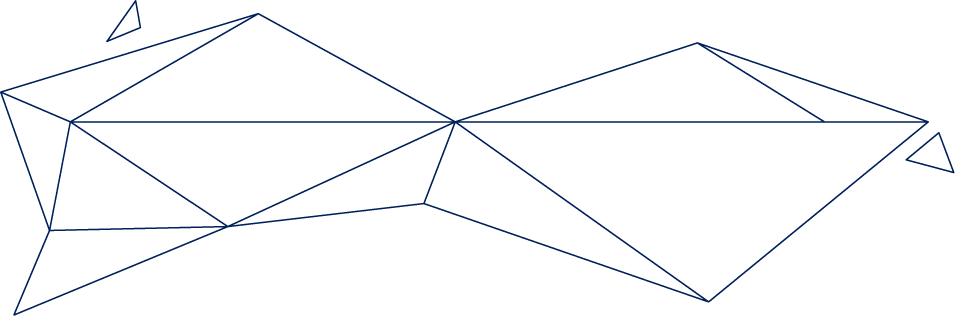 Polygon