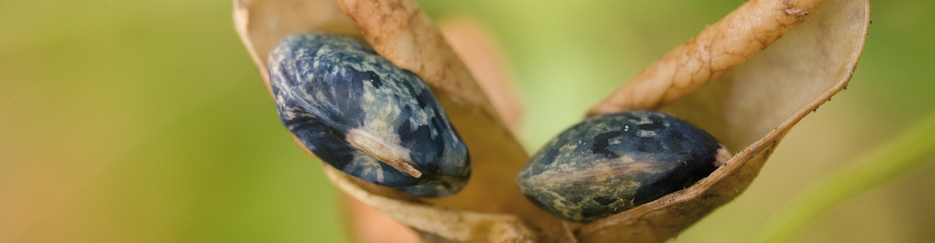 „Heute stiften – mit der Vision für morgen“