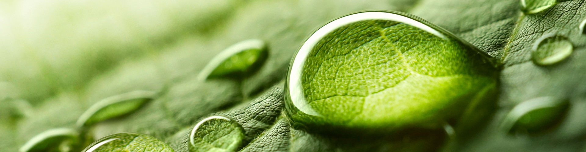 Sustainability at MAHLE