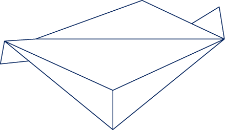 Polygon
