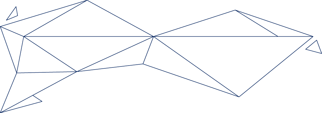 Polygon